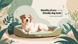 Environmentally friendly dog beds