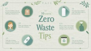 zero waste lifestyle